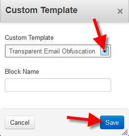 choosing the custom transparent email obfuscation add-on