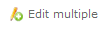 edit-multiple-icon