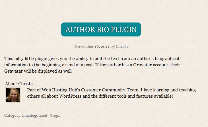 wp-author-bio-plugin-after