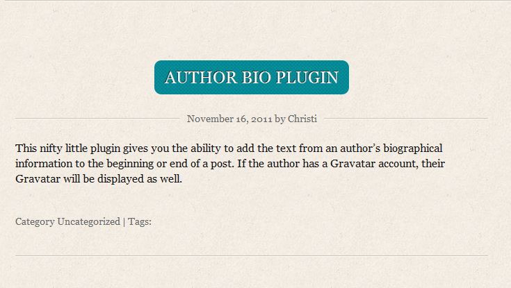 wp-author-bio-plugin-before