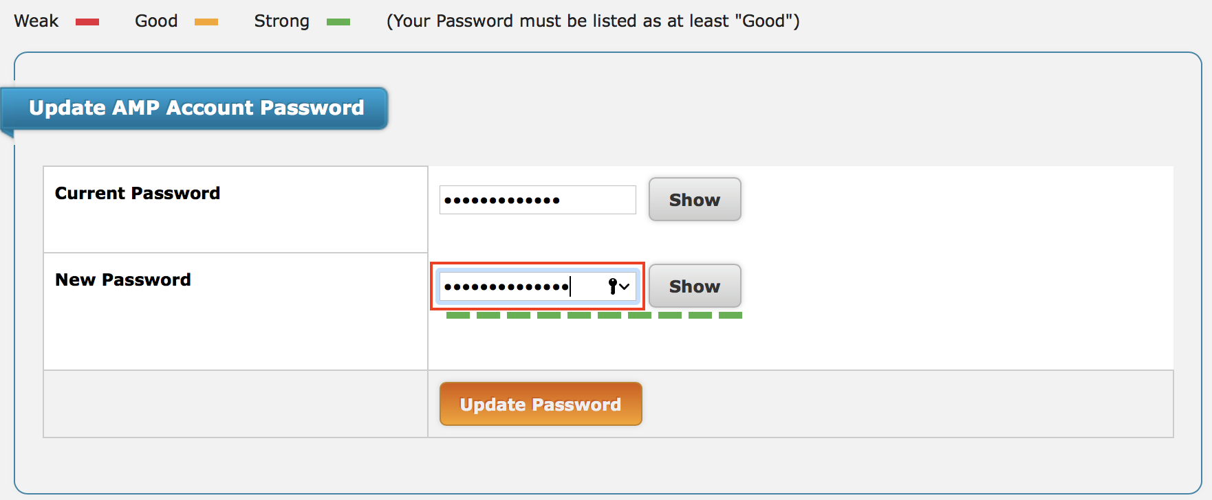 Update AMP Password section of AMP displayed with password fields highlighted.