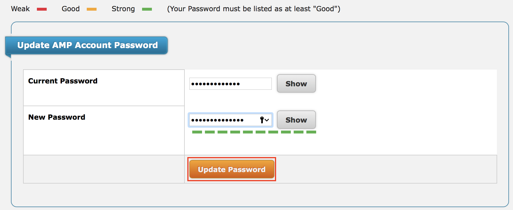 Update Password button highlighted.