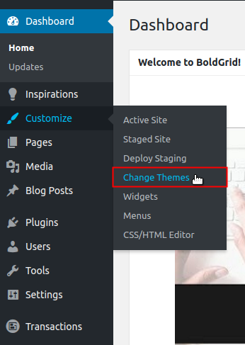 Hover over Customize and then select Change Themes