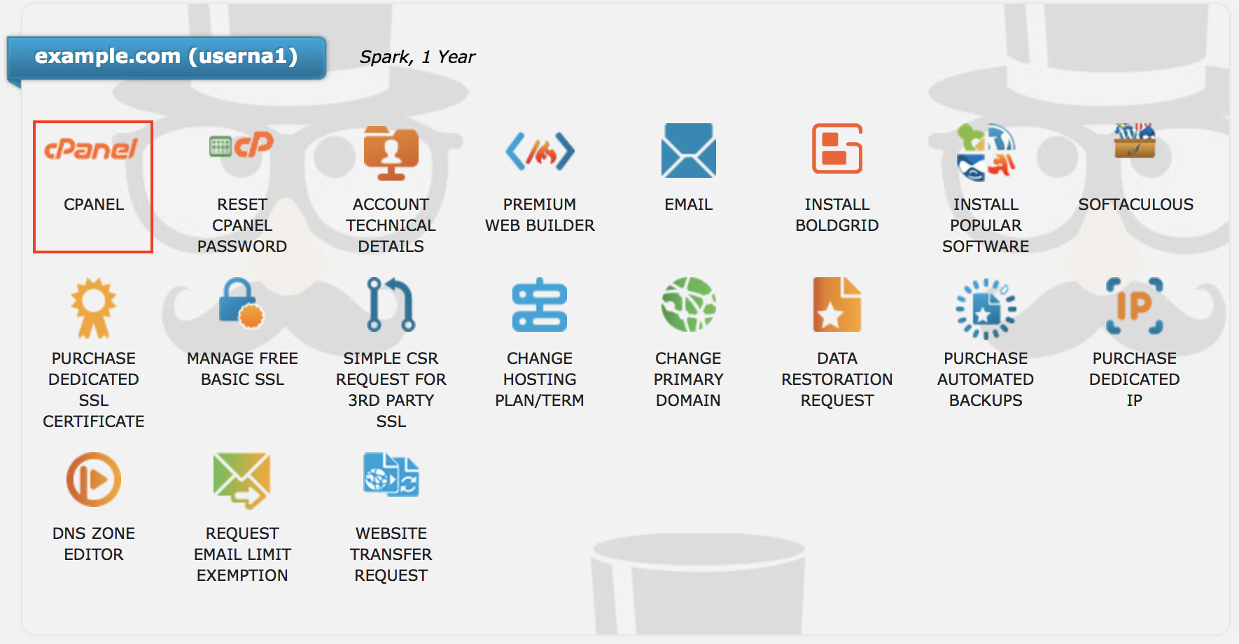 Account Management Panel (AMP) cPanel login icon highlighted.