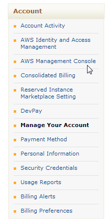 Select AWS Management console in menu