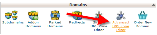 Advanced DNS editor icon