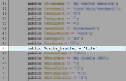 view of the cache handler option in the configuration file