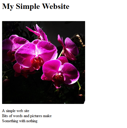Website created with picture inserted