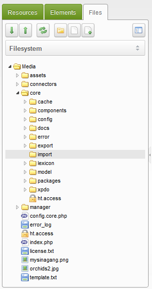 Import folder in Modx directory