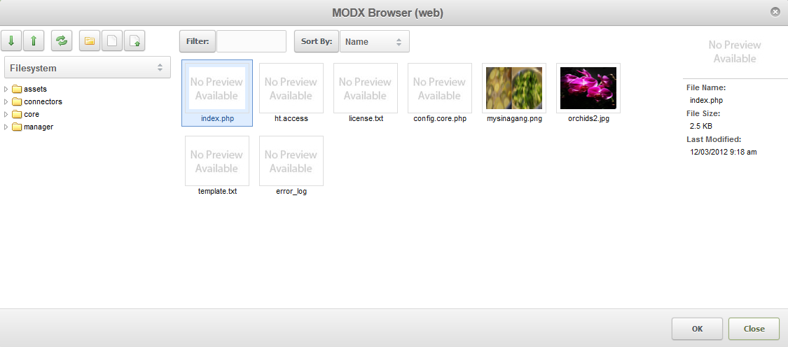 MODX Browser Window