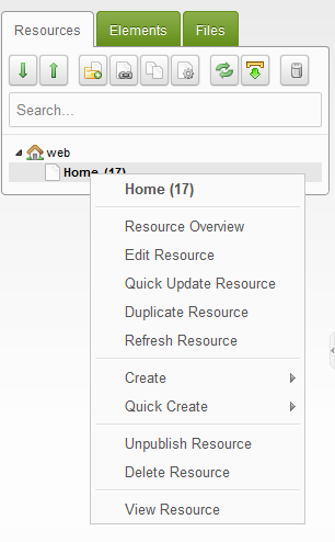 Drop-down menu that appears when right-clicking on resource
