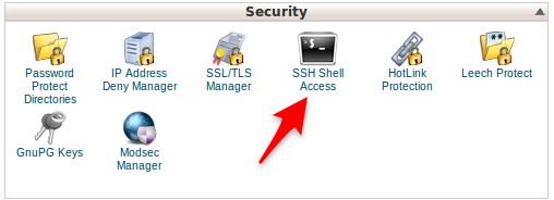 SSH/Shell Access