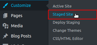 Hover over Customize then click Staged site